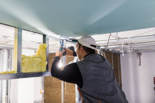 Best Crawl Space Insulation  in Ashtabula, OH
