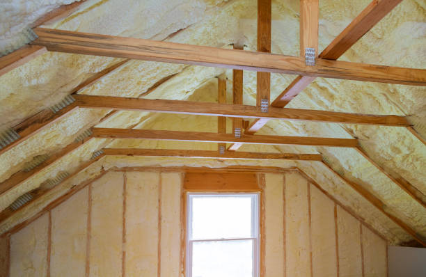 Best Professional Insulation Contractor  in Ashtabula, OH