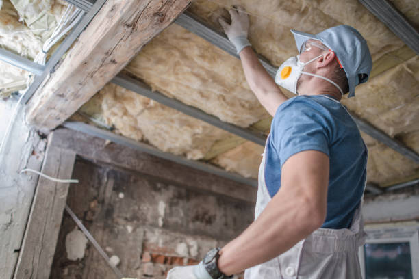 Best Insulation for New Construction  in Ashtabula, OH